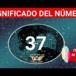 37 en la numerología: Significado y conexión con el mundo de los seres vivos y las fuerzas espirituales