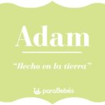 El intrigante vínculo entre el nombre 'Adam' y la numerología: descubre su significado oculto