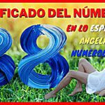 El número de vida 44 en la numerología: Significado y conexión con los seres vivos y las fuerzas físicas y espirituales